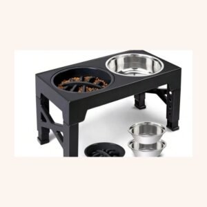 Elevated Bowl Stand with Slow Feeder