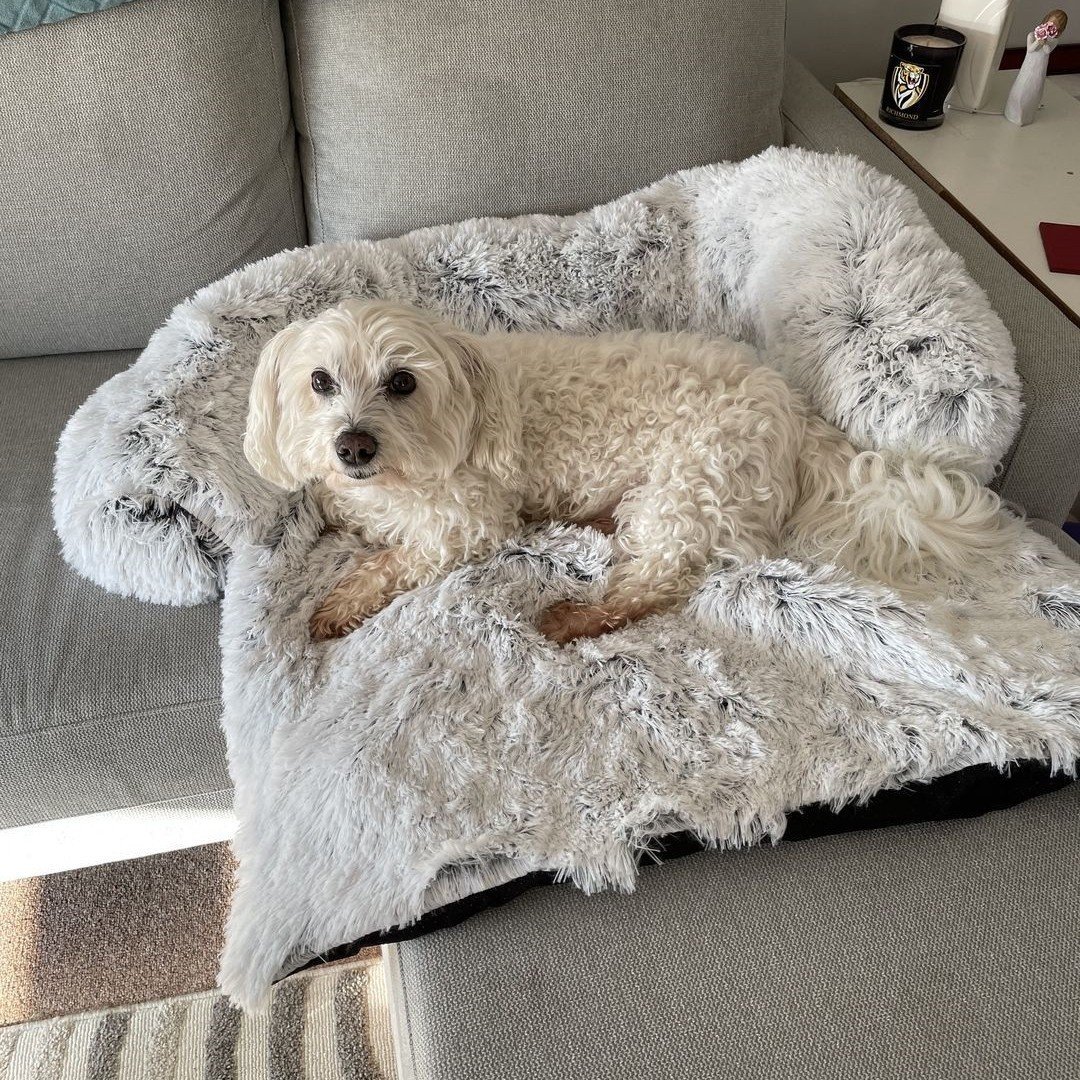 Fluffy Plush Dog Bed and Couch Cover - Image 8